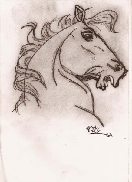portrait cabr�